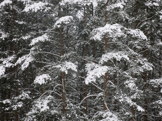 Similar image 21212711