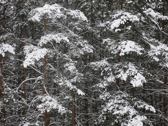 Similar image 21212713