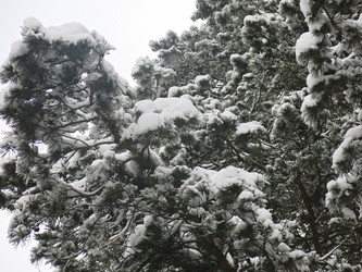 Similar image 21212714