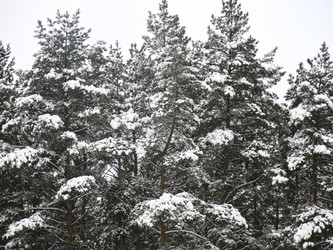 Similar image 21212715