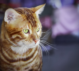 Similar image 21209097