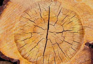 Similar image 21246980