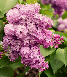 Similar image 21246983