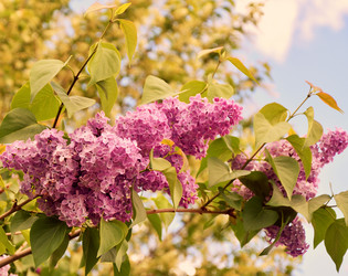 Similar image 21246984