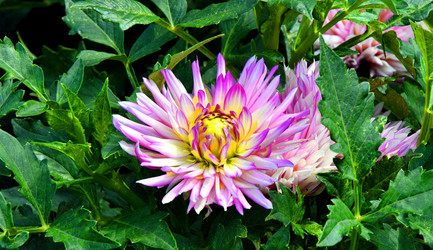 Similar image 21246985