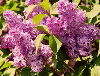 Similar image 21246987