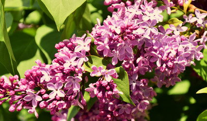 Similar image 21246988