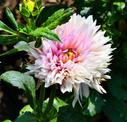 Similar image 21246989