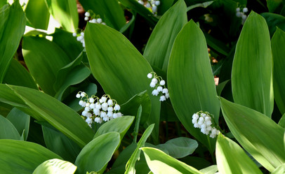 Similar image 21247014