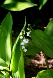 Similar image 21247016