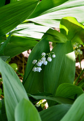 Similar image 21247018