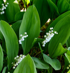 Similar image 21247019