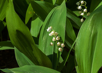 Similar image 21247020