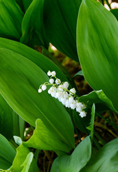 Similar image 21247021