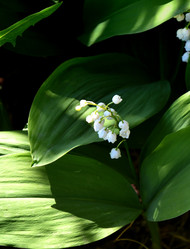 Similar image 21247056