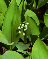 Similar image 21247057