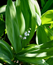 Similar image 21247058