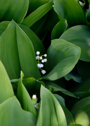 Similar image 21247059