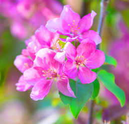 Similar image 21247063