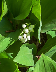 Similar image 21247064