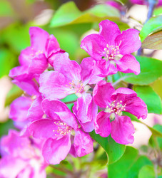 Similar image 21247176