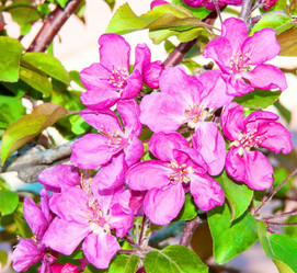 Similar image 21247177