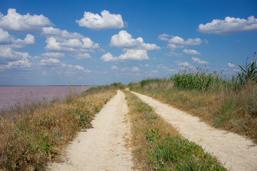 Similar image 21203044