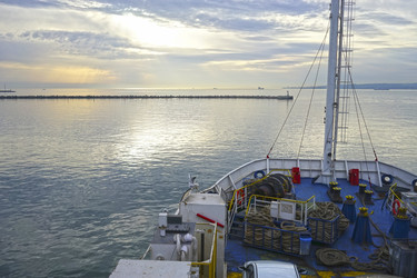 Similar image 21203063