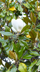 Similar image 21203068