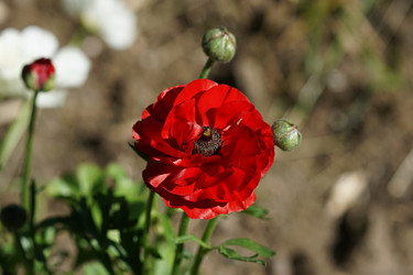 Similar image 21205119