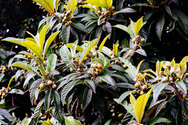 Similar image 21205126