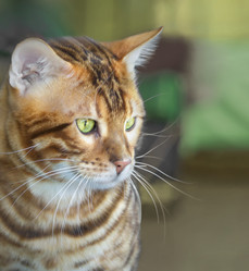 Similar image 21209098