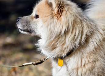 Similar image 21221030