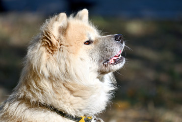 Similar image 21221032