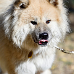 Similar image 21221033