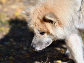 Similar image 21221034