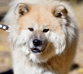 Similar image 21221035