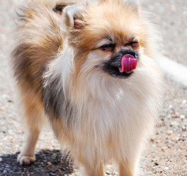 Similar image 21221051