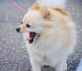 Similar image 21221053