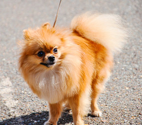 Similar image 21221054