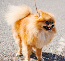 Similar image 21221056