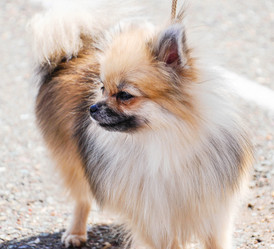 Similar image 21221058