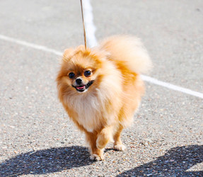 Similar image 21221059