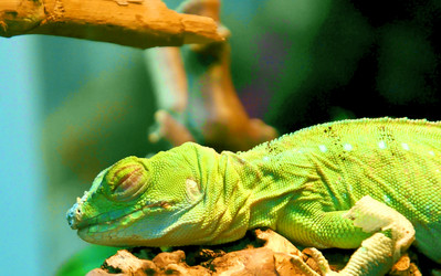 Similar image 21221065