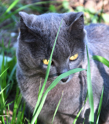 Similar image 21221066