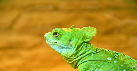 Similar image 21221067