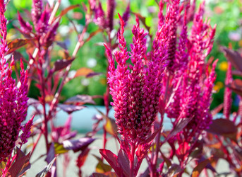 Similar image 21225889