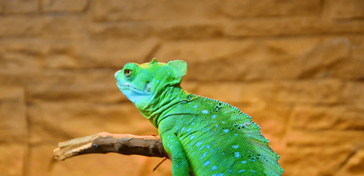 Similar image 21225892