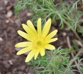 Similar image 21225895