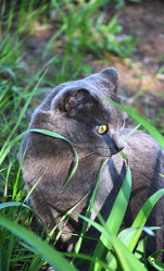 Similar image 21225896